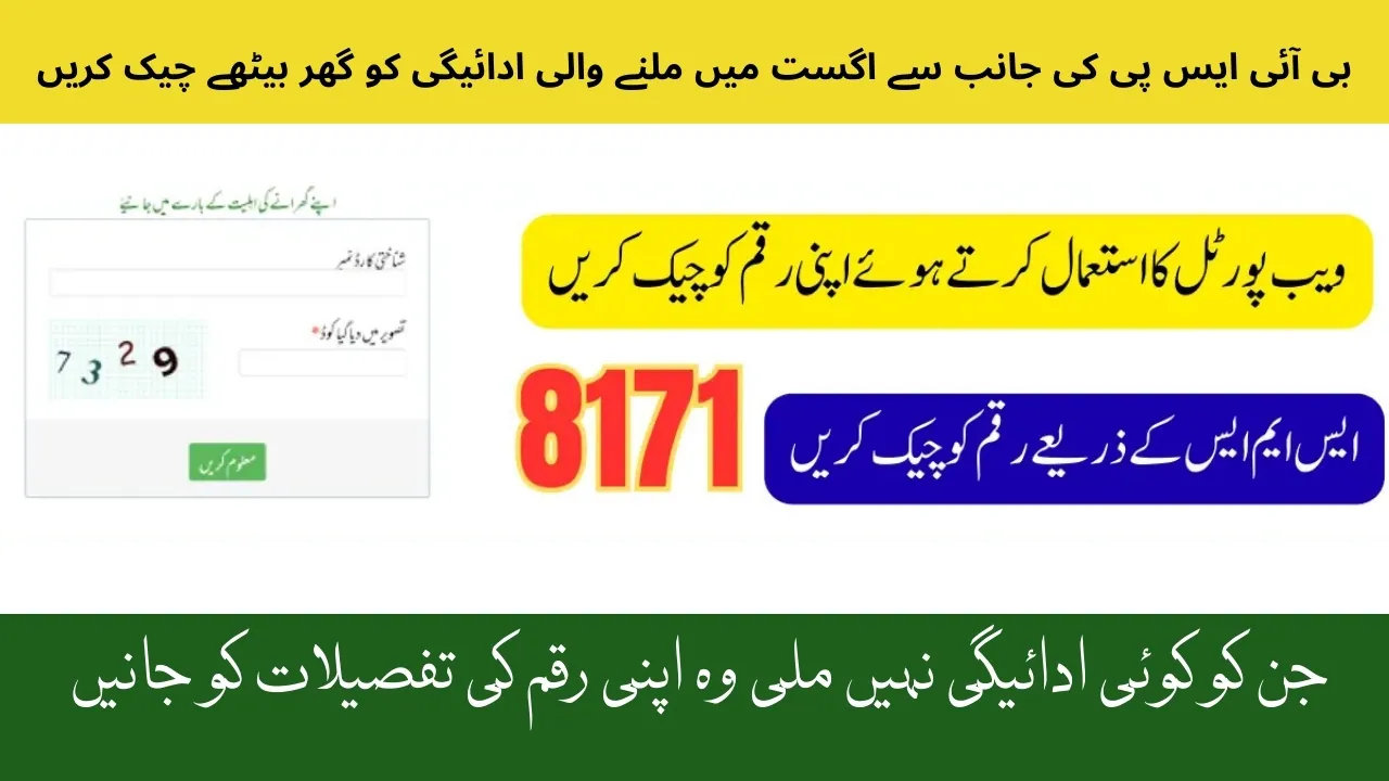 8171 Web Portal Payment Check CNIC 2025 Full Guide