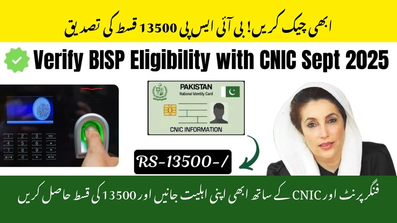 BISP 8171 Payment Verification Process – Check Online Today