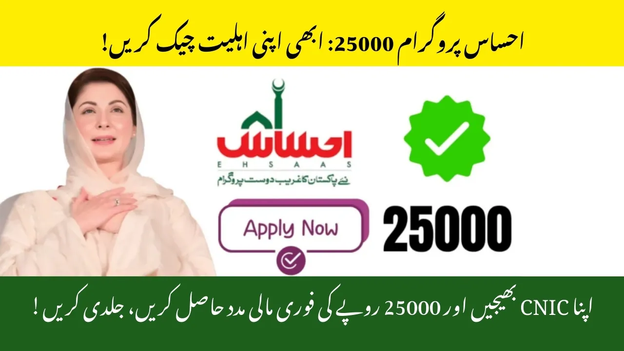 Ehsaas Program 25,000 CNIC Check 2025 — CNIC Confirmation, Eligibility & How to Receive